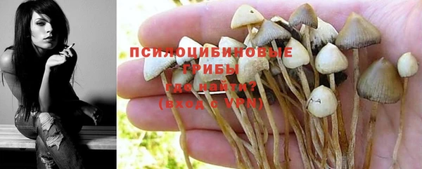 марки lsd Богородицк