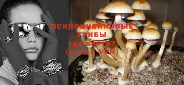 mdpv Богданович