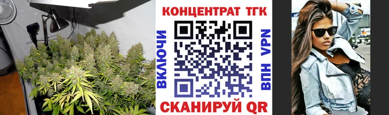 ТГК концентрат  Кирсанов 