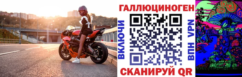 Псилоцибиновые грибы GOLDEN TEACHER  Кирсанов 